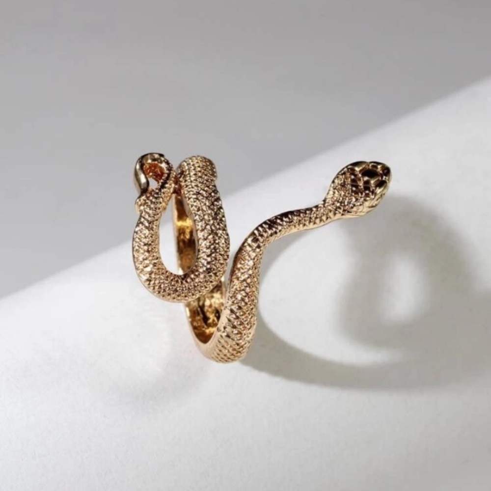 Snake design ring - Picture 2 of 3